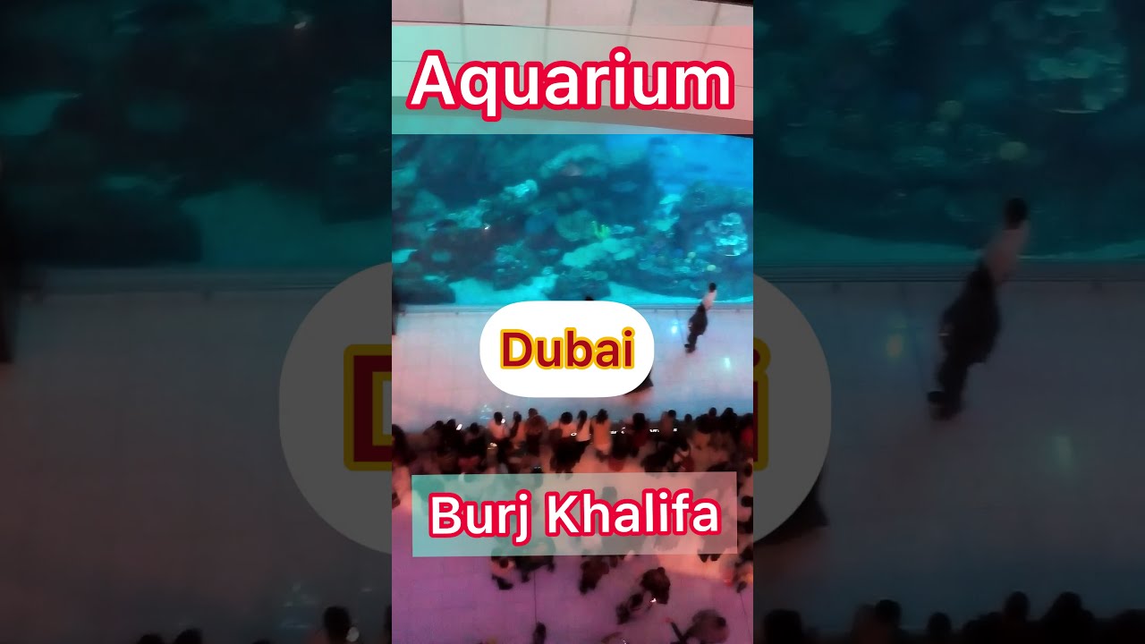 Aquarium Burj Khalifa | Dubai UAE | Travel Guide Channel | #Shorts #YTShorts #YouTubeShorts