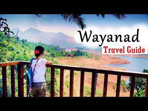 Wayanad Travel Guide | 2 Days Travel Itinerary to Wayanad in Kerala