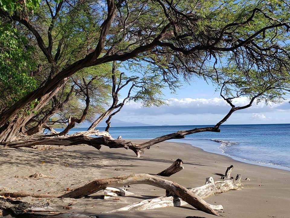 Aloha Friday Photo: Maui “shore” is beautiful!