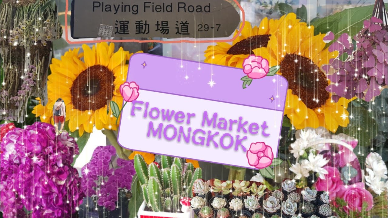 Flower Market Mongkok Travel Guide