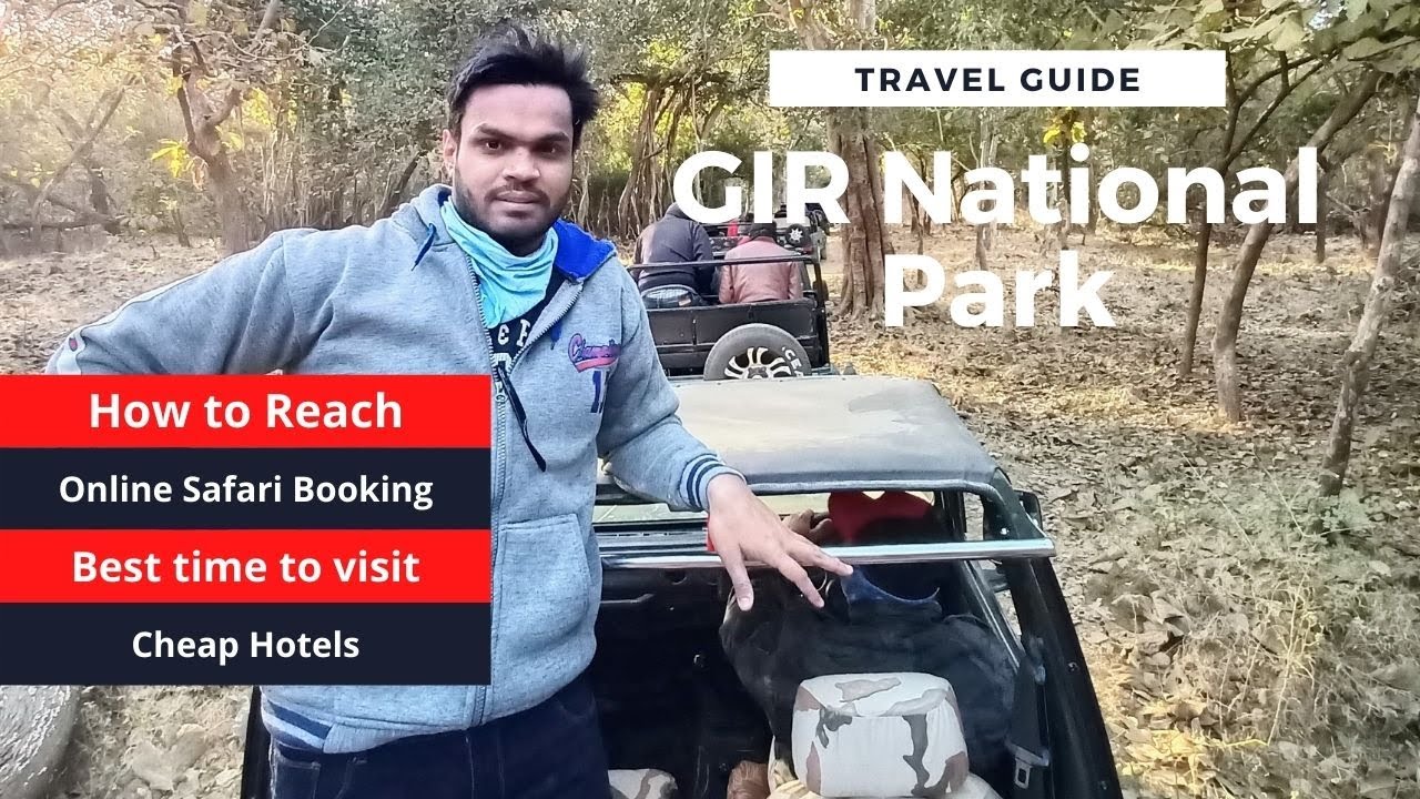 Gir National Park Travel Guide | How to reach, Safari Booking Online, Hotels, Best Time to Visit