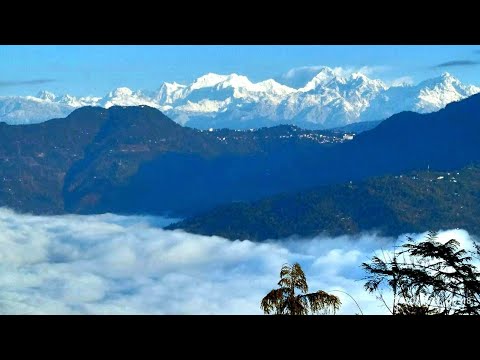 Peshok Tea Garden, Darjeeling ↑ Travel Guide 75 with Santanu Ganguly