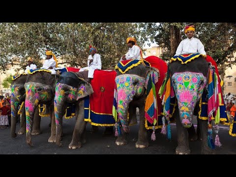 Hathi gaon Amer  | Jaipur Travel Guide