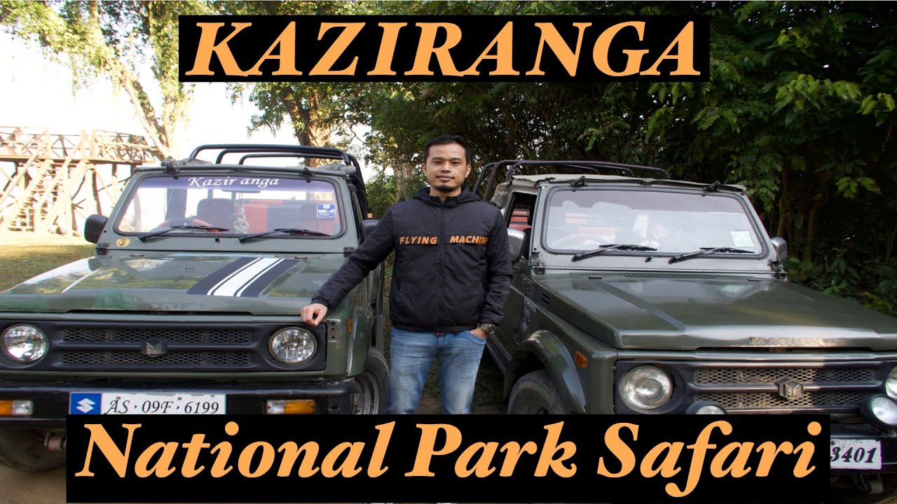 Kaziranga Jeep Safari || Travel Guide || EP - 03