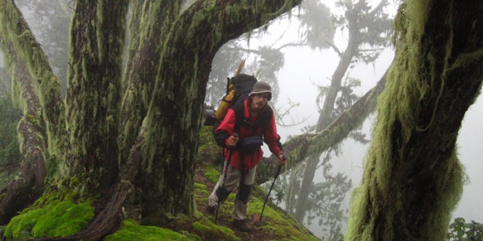 You want to climb the Rwenzori Mountains? | Focus