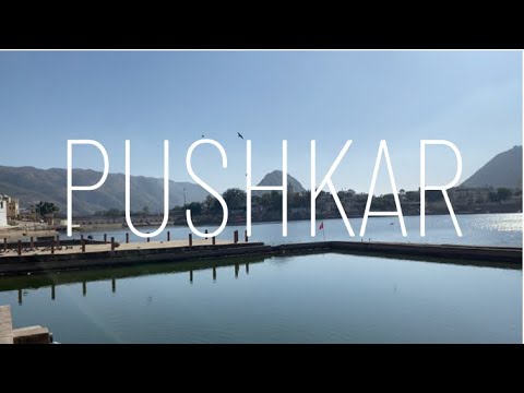 Pushkar Vlog | Food| shopping |Travel guide | WISHSPACE