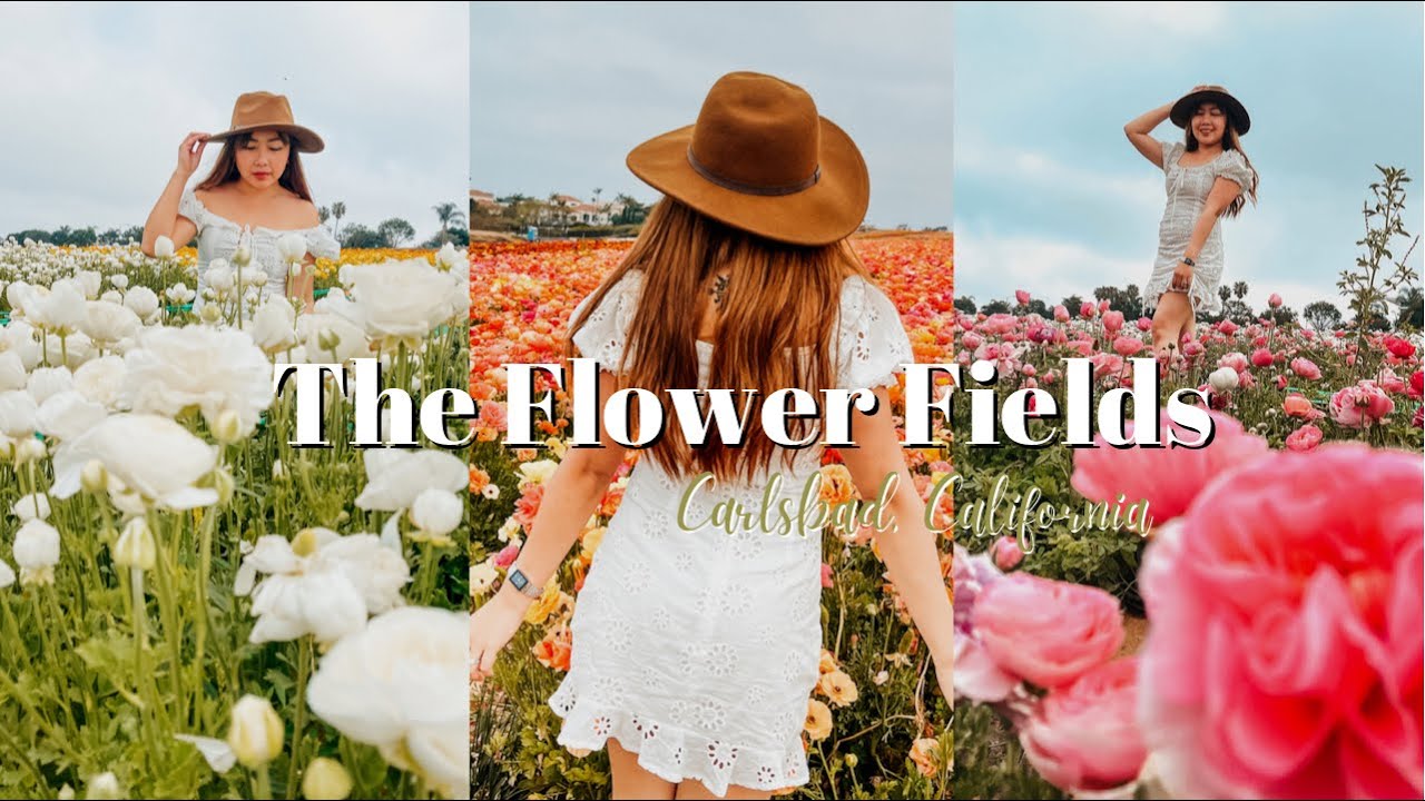 THE FLOWER FIELDS AT CARLSBAD SAN DIEGO CALIFORNIA | TRAVEL GUIDE + PHOTOGRAPHY TIPS | Pinay Vlog