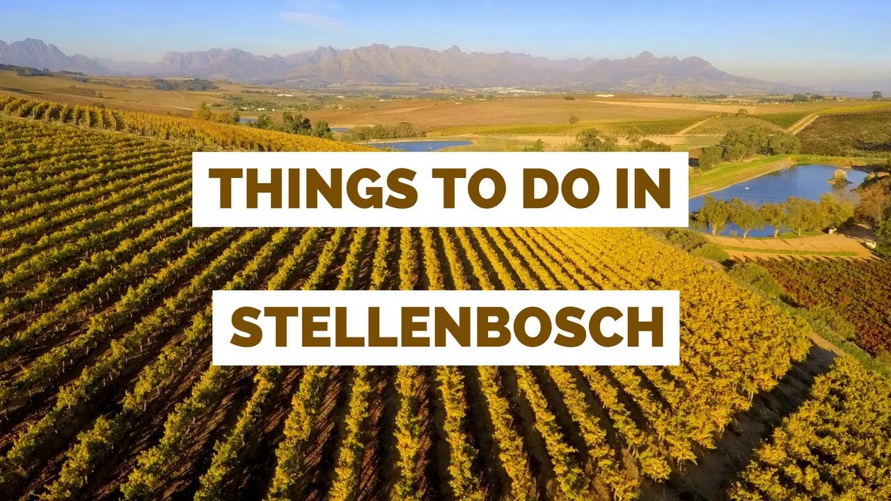 20 Things to do in Stellenbosch, South Africa Travel Guide