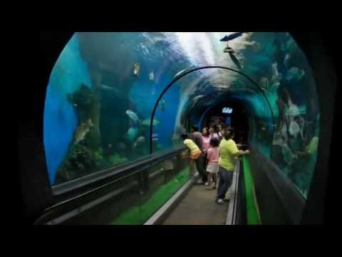 Top 10 Tourist Attractions in Thailand | Visit and Travel Guide To Phuket Part 2