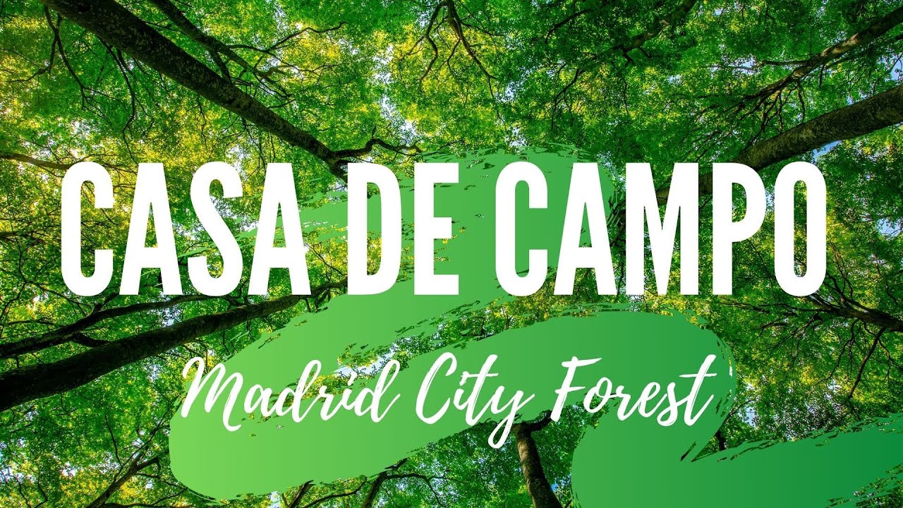 Casa de Campo. Thing to do in Madrid. SPAIN. Travel guide