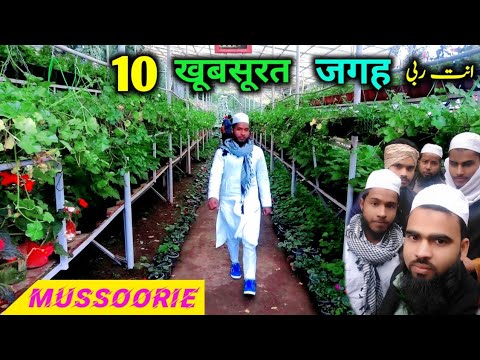 Mussoorie Tourist Places | Mussorie Tour Plan I Mussoorie Budget | Mussorie Travel Guide