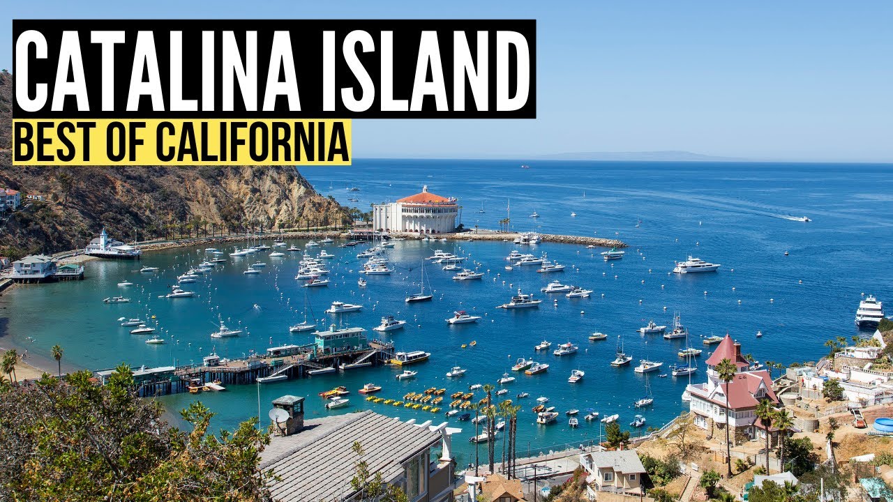 Things To Do in CATALINA ISLAND California (Travel Guide & Vlog)