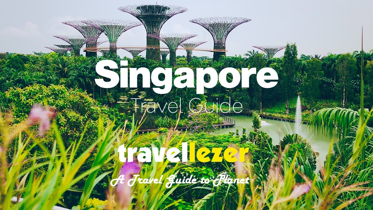 A Travel Guide to birds land Singapore