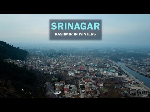Srinagar Tourist Guide || Beauty of Srinagar || Jammu and Kashmir || #Shorts
