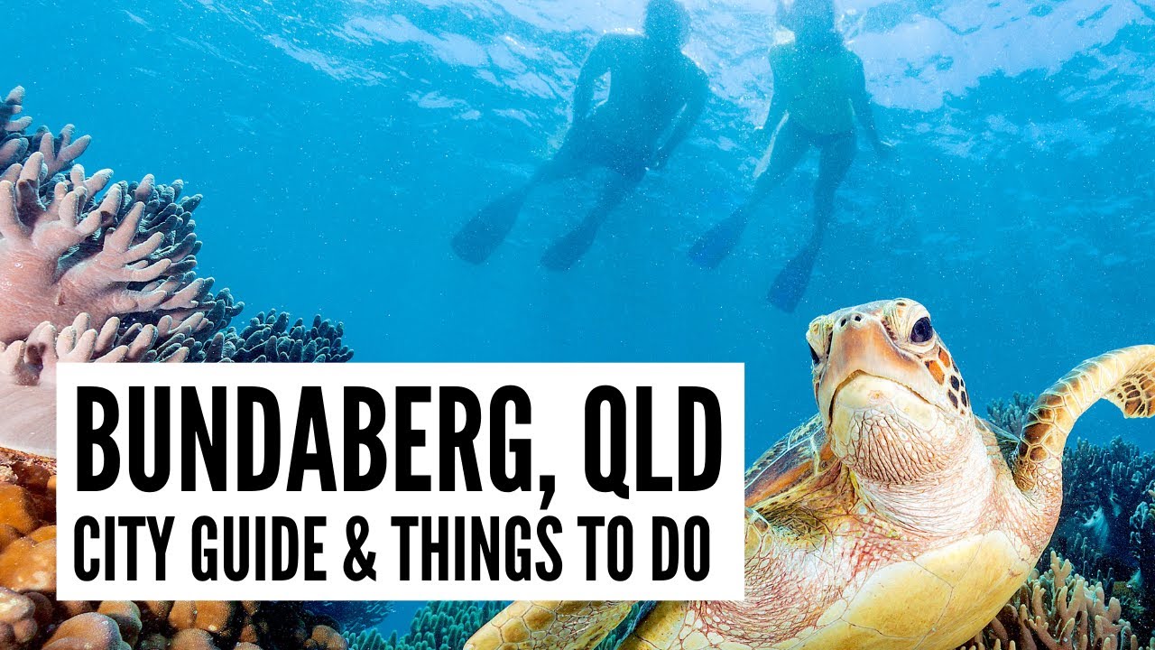 Top Things to Do in Bundaberg, Queensland | Travel Guide