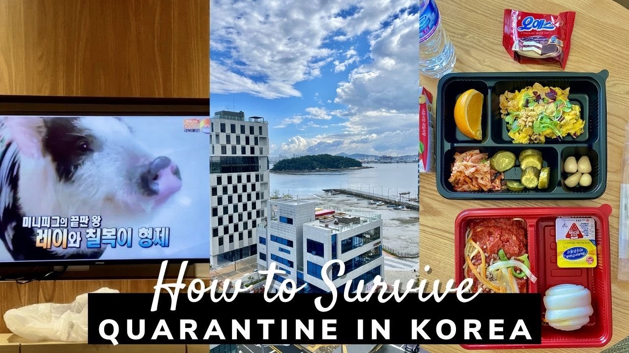 How to Survive Quarantine in Korea (Part 2) | Korea Travel Guide