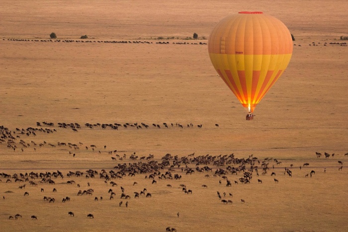Kenya leads World Travel Awards winners in Africa and Indian Ocean | News