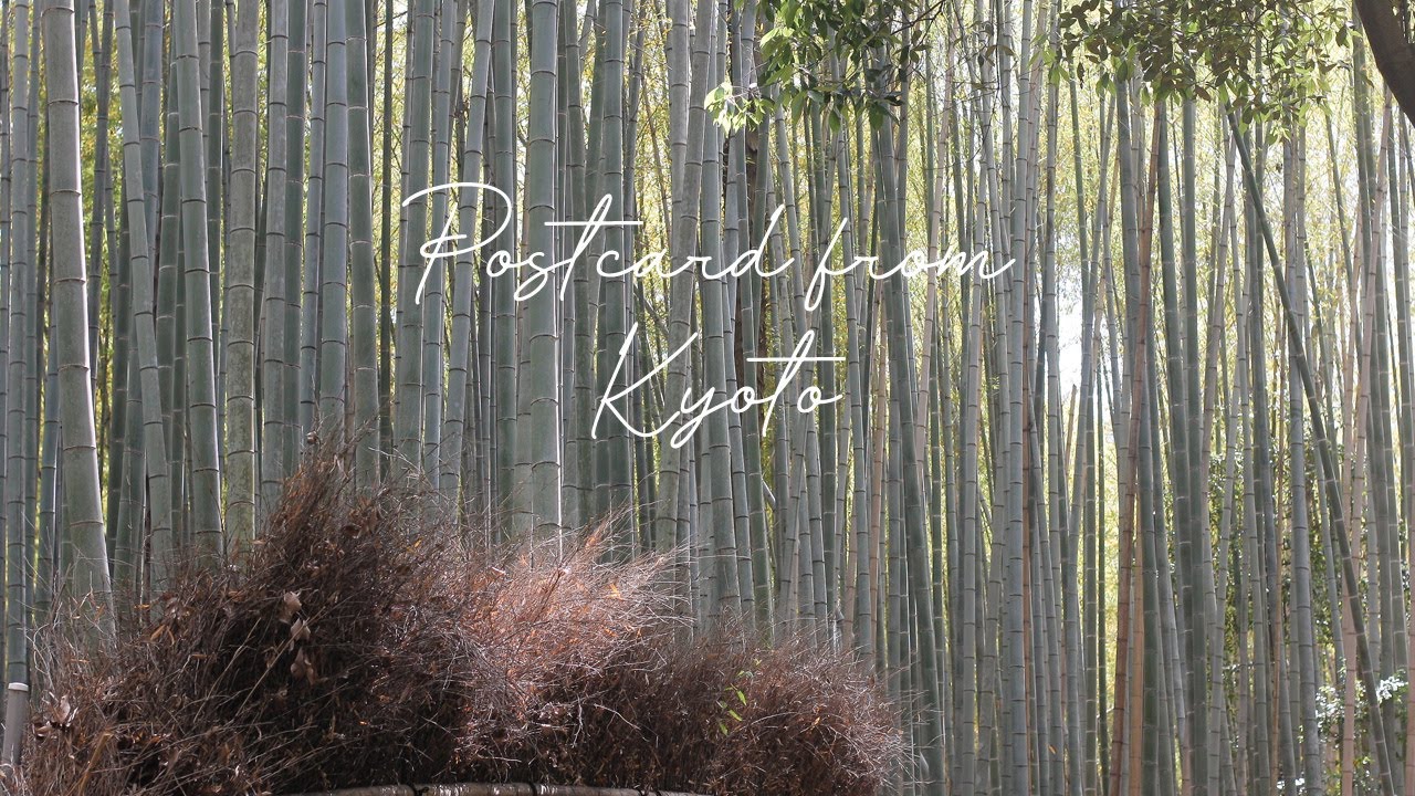 kyoto travel guide | things to do in kyoto