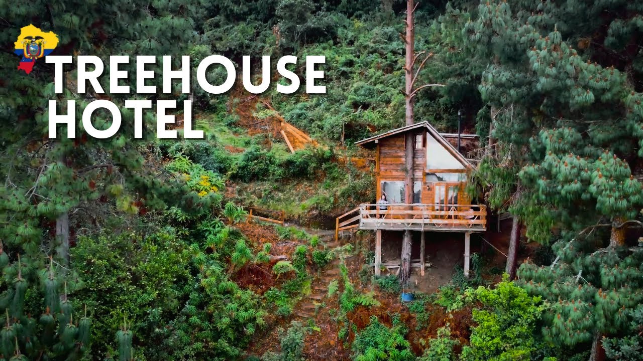 Checa Ecuador TREEHOUSE Living : Unique Hotel in Ecuador  | ECUADOR TRAVEL GUIDE