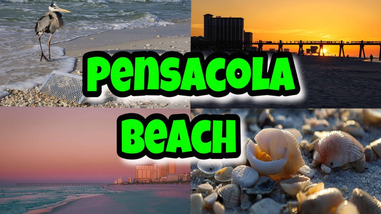 Pensacola Beach SHELLING Travel Guide.