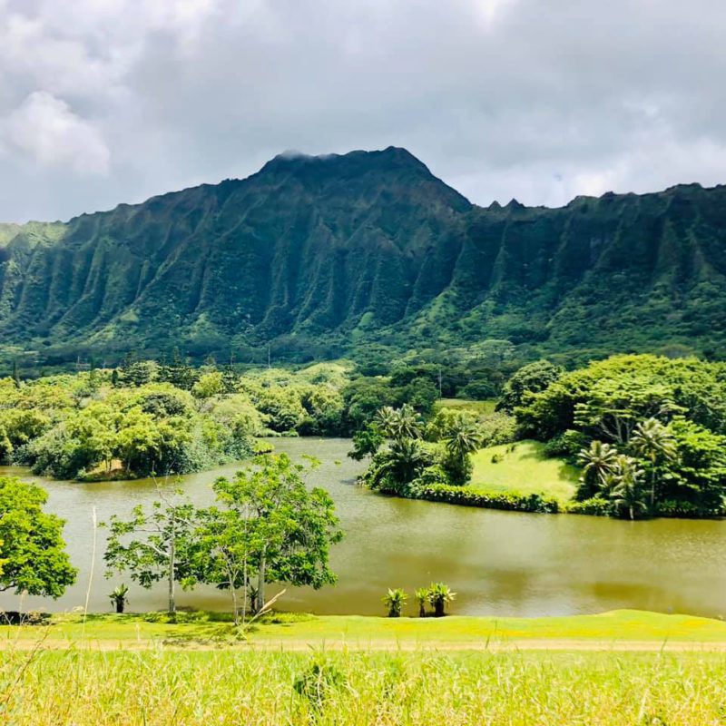 Happy camping in Hawaii