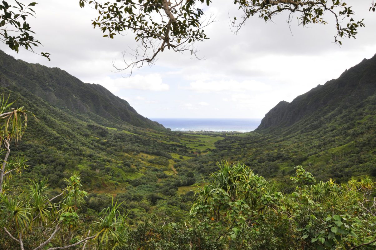 Hawaii's film industry is thriving