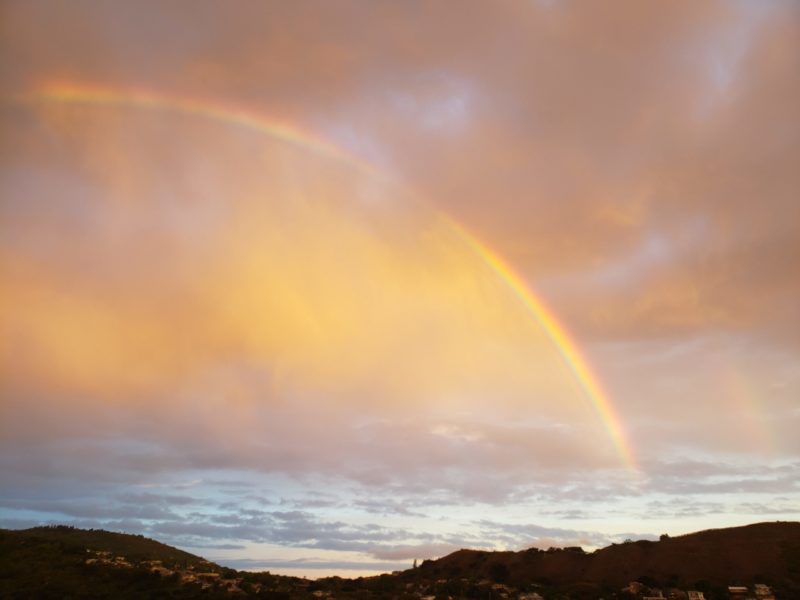 Hawaii hopes to attract "respectful visitors" amid HI COVID-19 fears