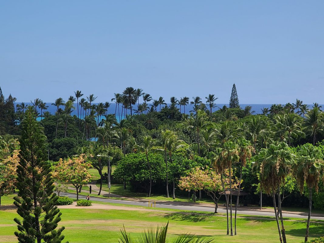 Kauai "resort bubble" plan moves forward