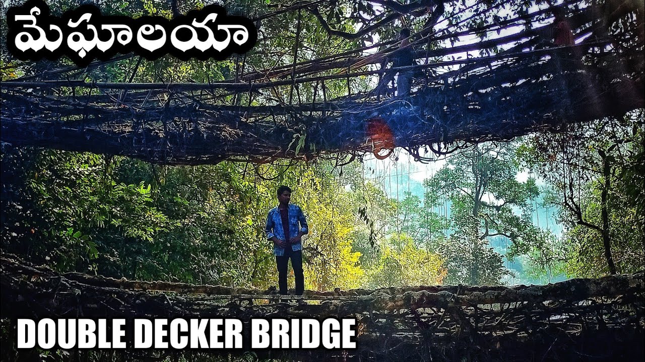 Double Decker Living Root Bridge Cherrapunji | Meghalaya Travel Guide in Telugu