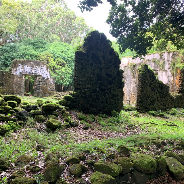 Accessible Hawaii archaeology