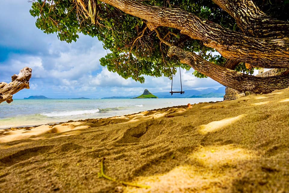 Aloha Friday Photo: Sand-level scenery