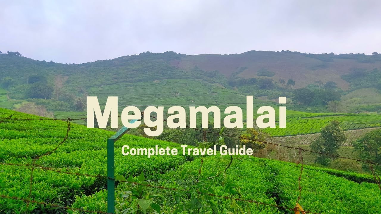 Megamalai Travel Guide | Paccha Kumachi | WoodBriar Tea Bungalow | C.Jothys Hotel | KohsaTravel