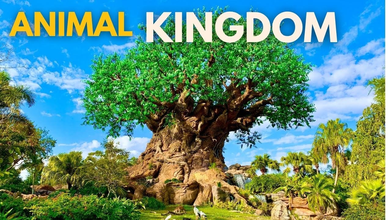 DISNEY WORLD - Animal Kingdom Travel Guide
