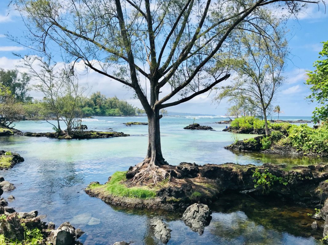 Aloha Friday Photo: Carlsmith Beach on Hawaii, Big Island