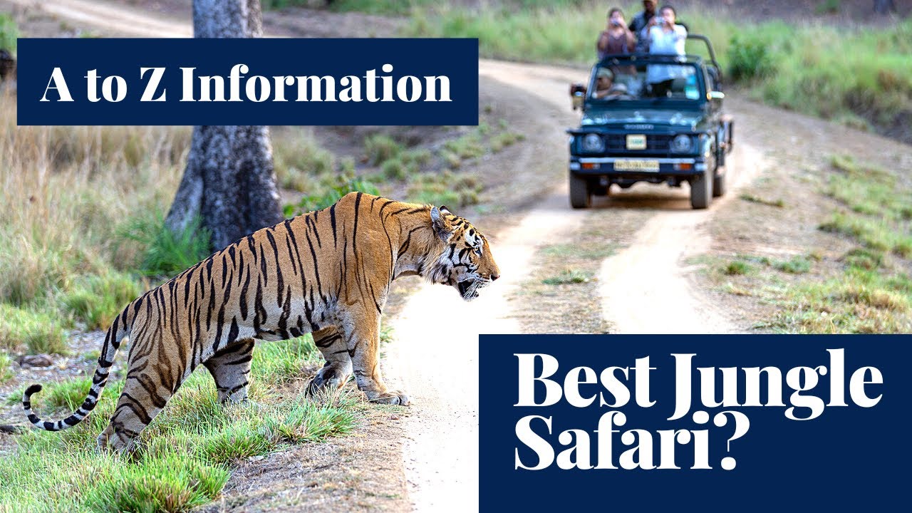A Complete Tour Guide To Nandanvan Jungle Safari Naya Raipur | A to Z Information on Jungle Safari