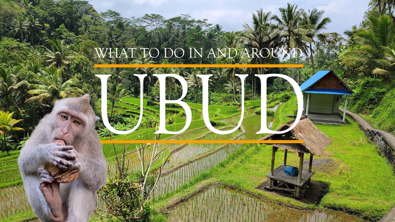 What to Do in and Around UBUD – Bali Travel Guide | Part 1