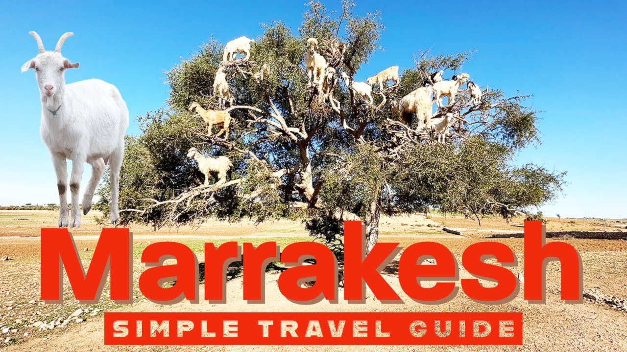 Marrakech Morocco | Simple Travel Guide