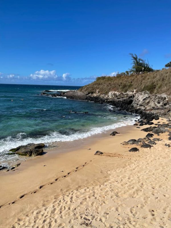 Aloha Friday Photo: Ho'okipa Beach, Maui