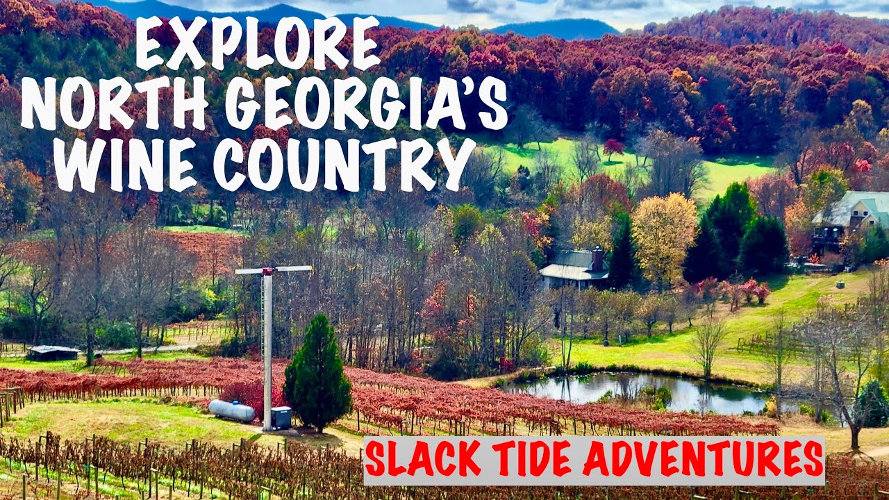 A Visit to North Georgia's Wine Country: A Slack Tide Travel Guide