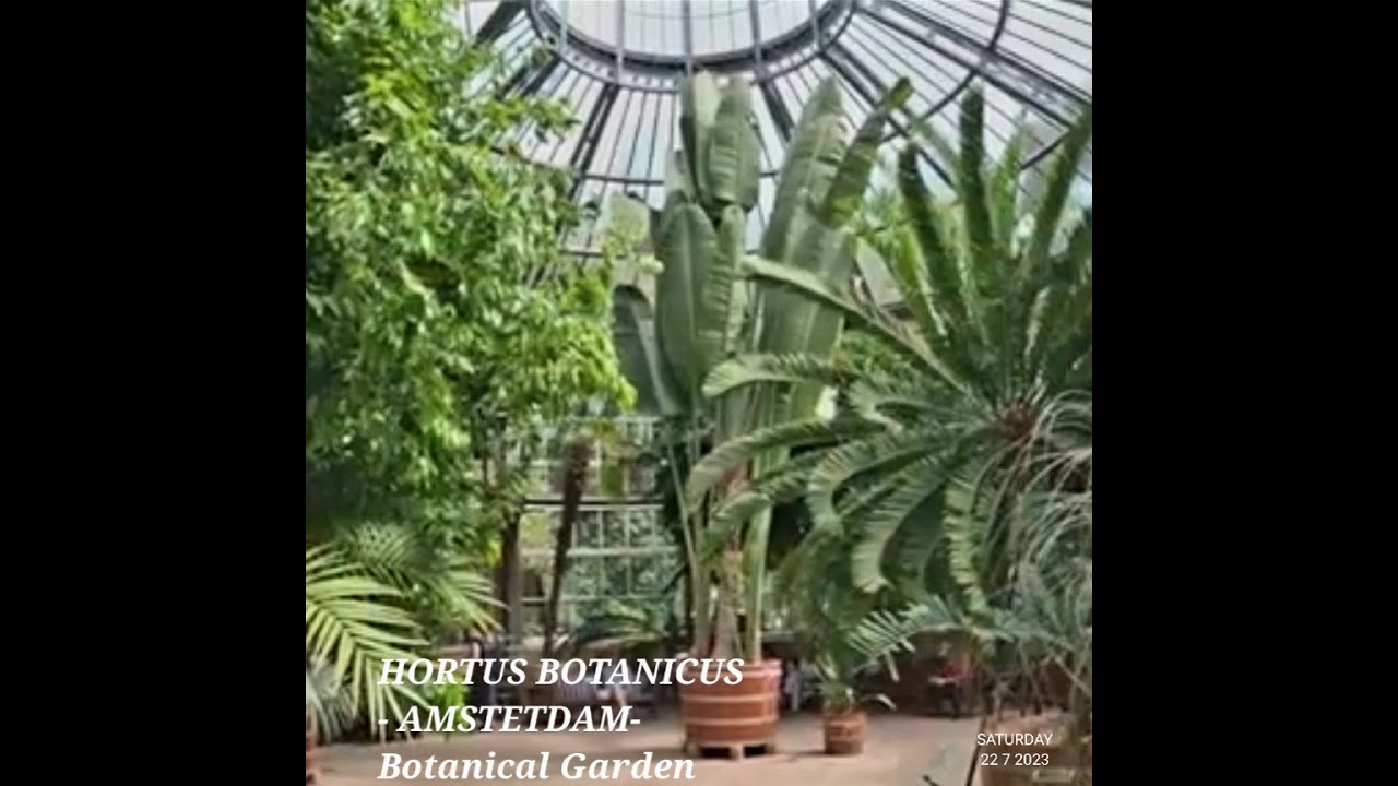 Hortus Botanicus Amsterdam (Botanical garden Amsterdam ) - 5 minute travel guide - What to visit