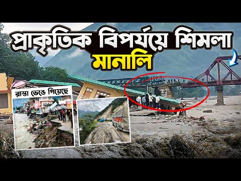 Shimla Manali Tour Guide in Bengali | Shimla Manali Current Situation | Shimla Manali Tour Cost
