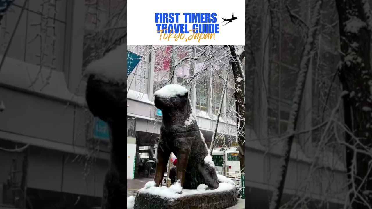 Watch to know more "First timers travel Guide: Tokyo, Japan" in our channel!