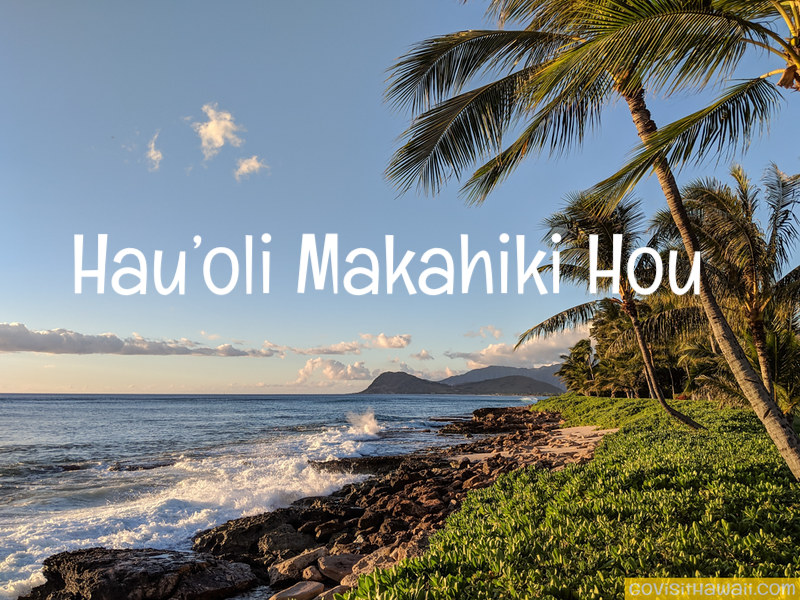 Hau'oli Makahiki Hou! What's happening in Hawaii for New Year's Eve 2023/2024