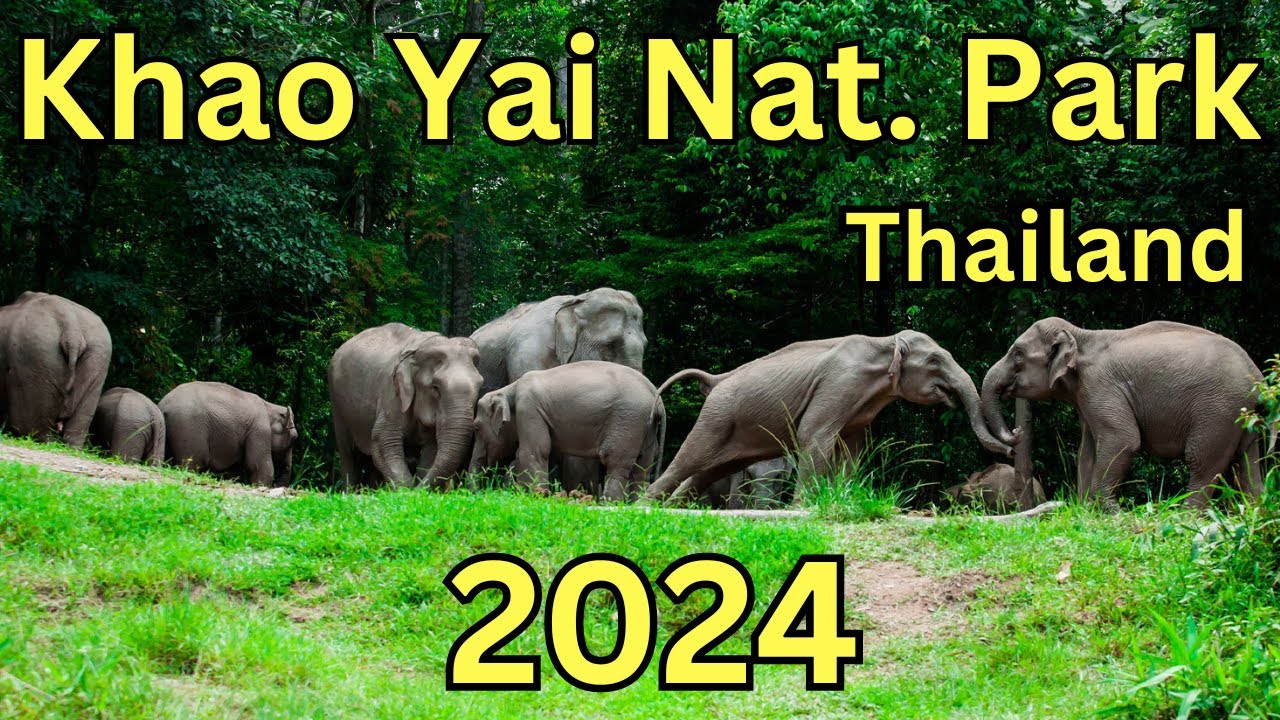 Khao Yai National Park, Thailand ☀️ A Travel Guide to Attractions, Thai Delights & FAQ's 💕