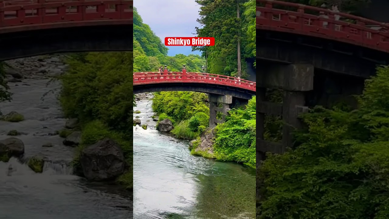 Nikko Travel Guide! 🇯🇵What to do in Nikko #japan #unesco #東照宮 #日光 #japantravelguide #kegonfalls