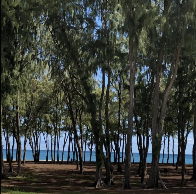 Aloha Friday Photo: "Sherwood Beach" Oahu