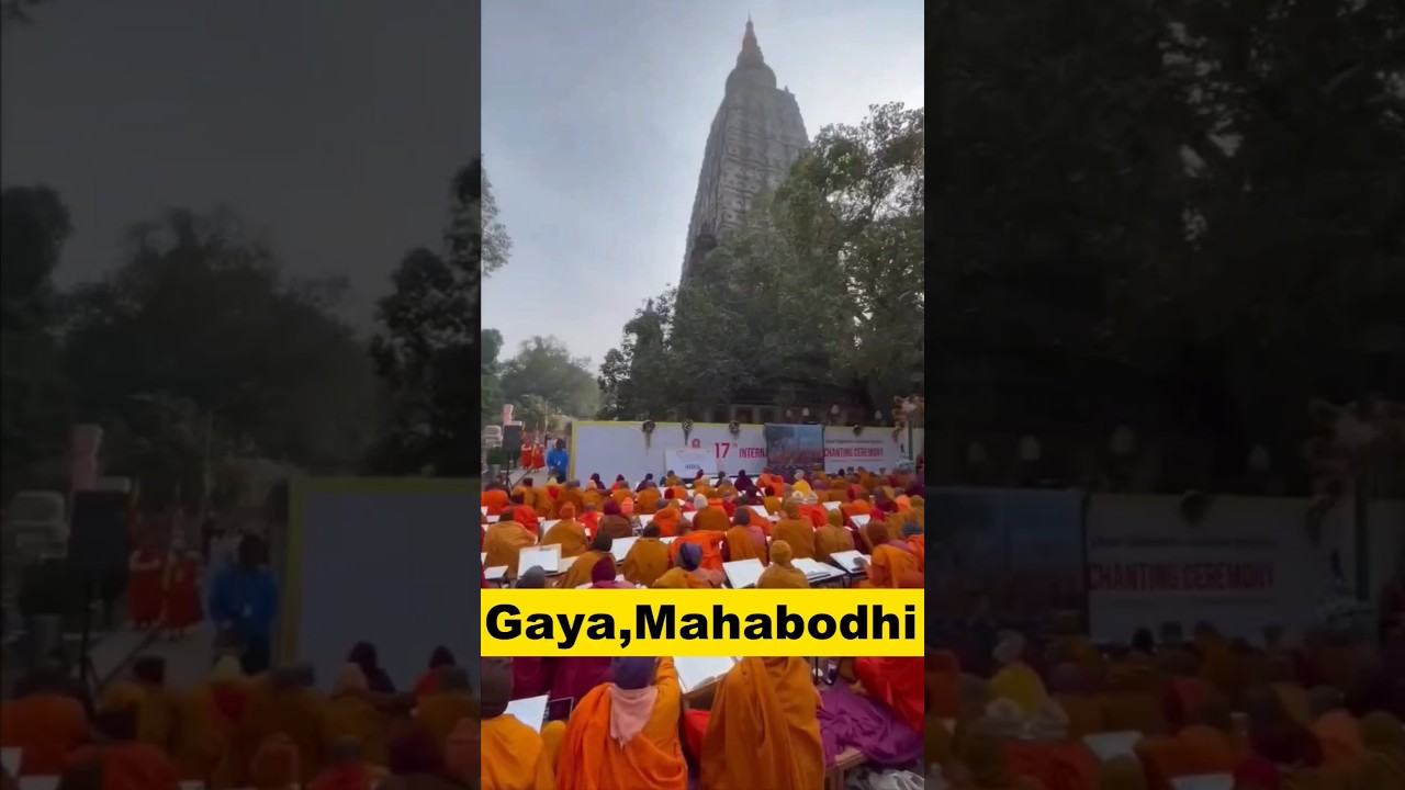 Gaya Tour Guide 🛕#gayatour #gaya #gayabihar #bodhgaya #travel #minivlog #short #shortsfeed #shorts