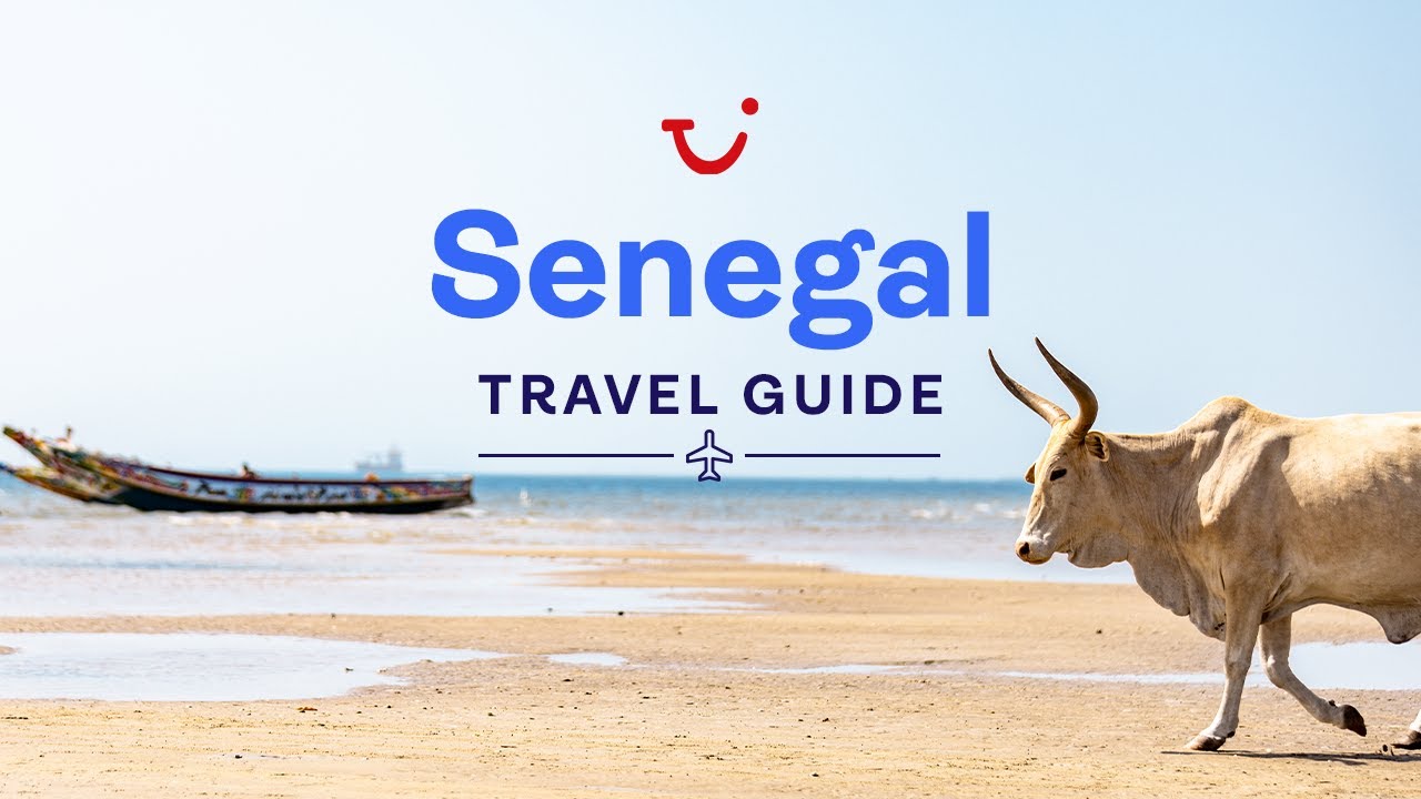Travel Guide to Senegal, Africa | TUI
