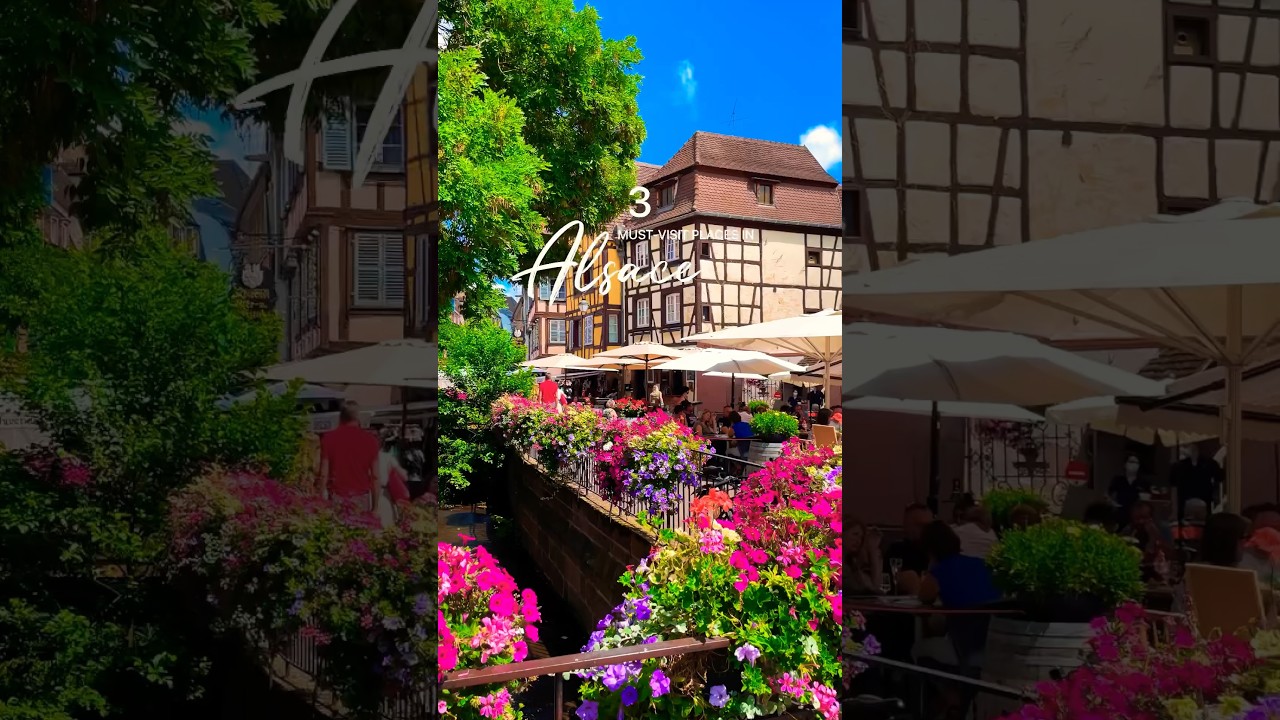 Alsace Travel Guide: Exploring the Picturesque Beauty of France's Charming Region! #shorts