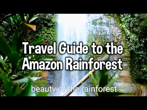 Travel Guide to the Amazon Rainforest: Exploring the Wildlife and Culture #amazon #rainforest